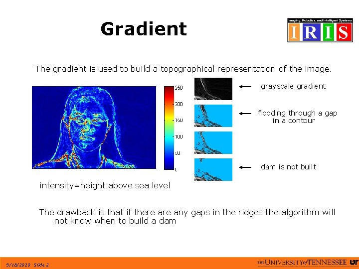 Gradient The gradient is used to build a topographical representation of the image. grayscale