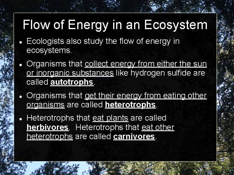 Flow of Energy in an Ecosystem Ecologists also study the flow of energy in