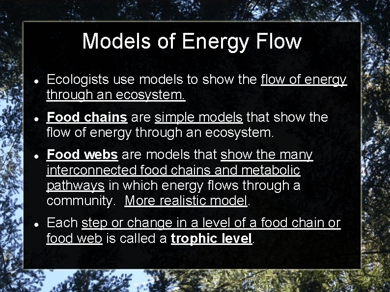 Models of Energy Flow Ecologists use models to show the flow of energy through