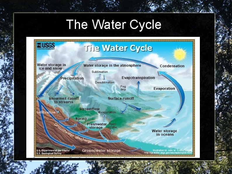 The Water Cycle 