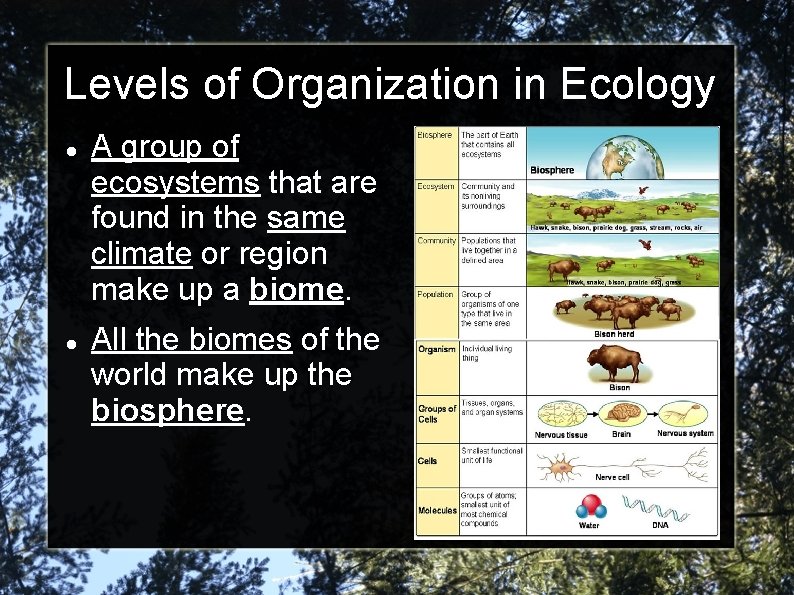 Levels of Organization in Ecology A group of ecosystems that are found in the