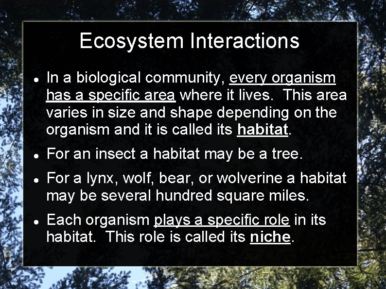 Ecosystem Interactions In a biological community, every organism has a specific area where it