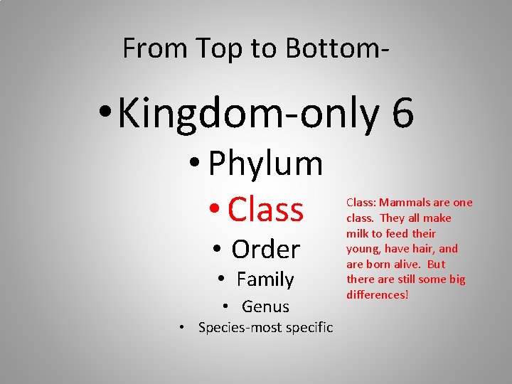 From Top to Bottom- • Kingdom-only 6 • Phylum • Class • Order •