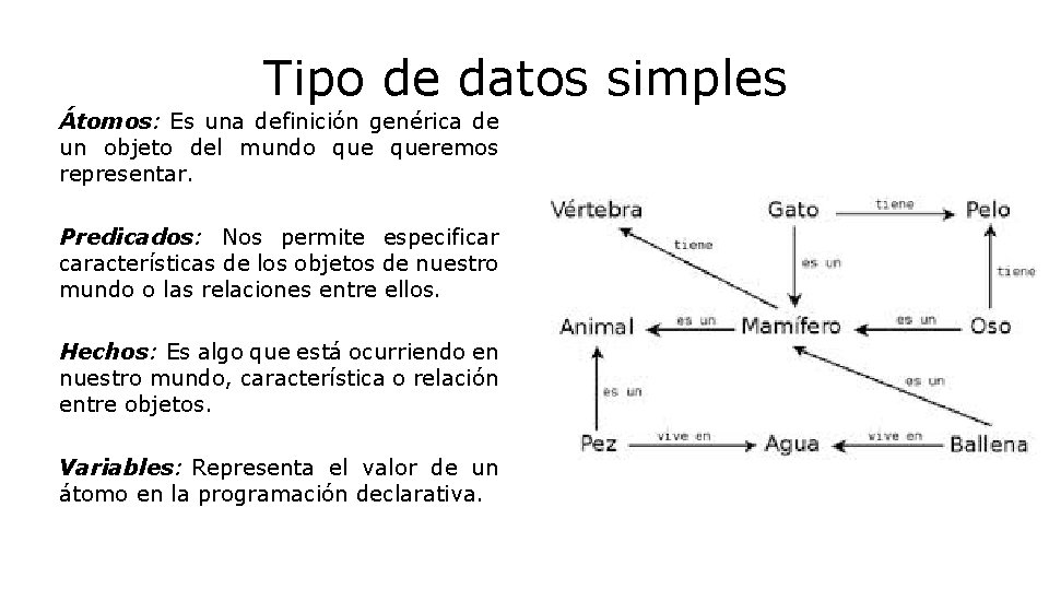 Tipo de datos simples Átomos: Es una definición genérica de un objeto del mundo