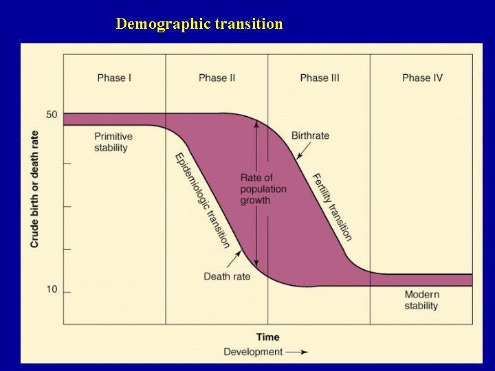 Demographic transition 