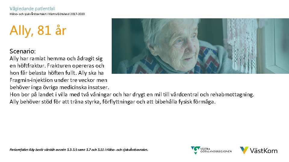 Vägledande patientfall Hälso- och sjukvårdsavtalet i Västra Götaland 2017 -2020 Ally, 81 år Scenario: