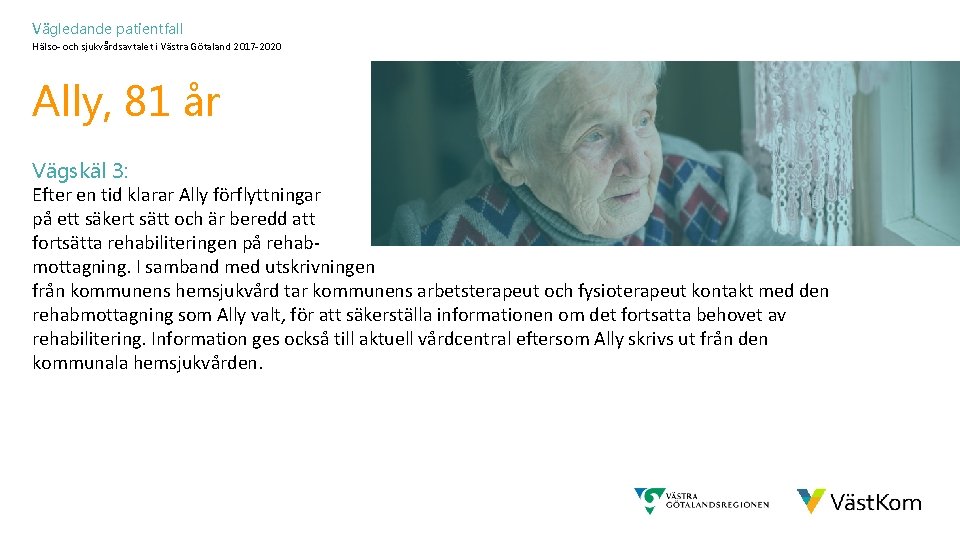 Vägledande patientfall Hälso- och sjukvårdsavtalet i Västra Götaland 2017 -2020 Ally, 81 år Vägskäl