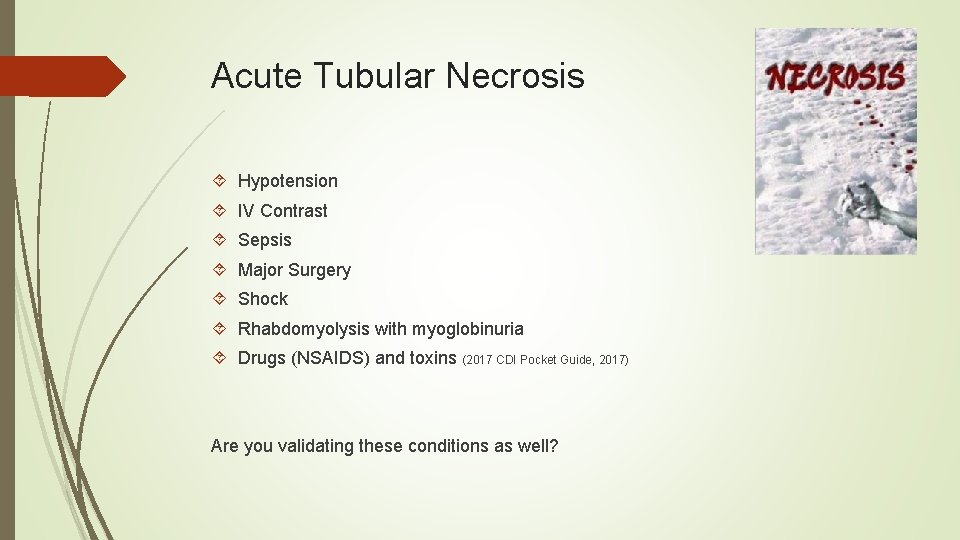 Acute Tubular Necrosis Hypotension IV Contrast Sepsis Major Surgery Shock Rhabdomyolysis with myoglobinuria Drugs