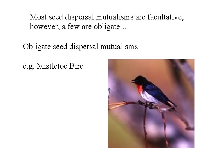 Most seed dispersal mutualisms are facultative; however, a few are obligate… Obligate seed dispersal