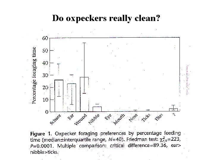 Do oxpeckers really clean? 