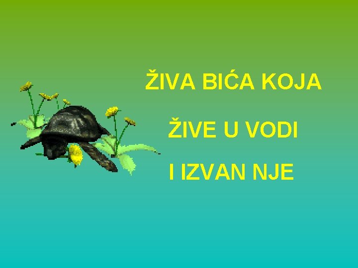 ŽIVA BIĆA KOJA ŽIVE U VODI I IZVAN NJE 