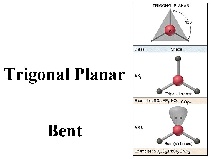 Trigonal Planar Bent 