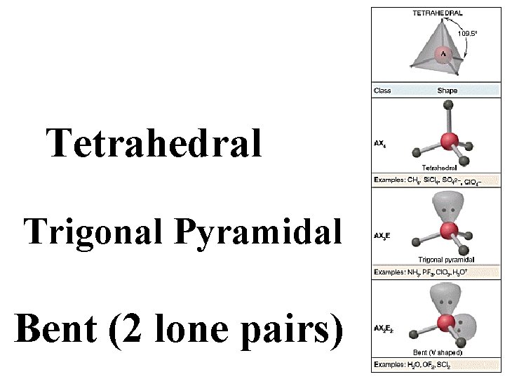 Tetrahedral Trigonal Pyramidal Bent (2 lone pairs) 