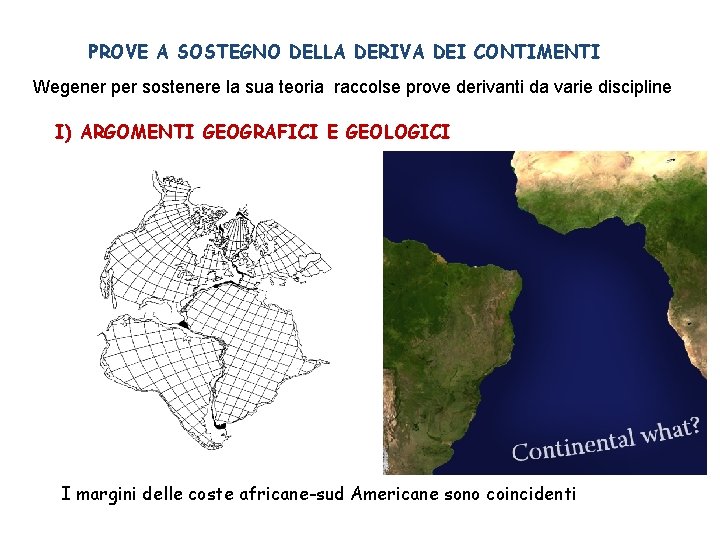 PROVE A SOSTEGNO DELLA DERIVA DEI CONTIMENTI Wegener per sostenere la sua teoria raccolse