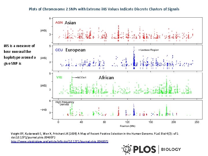 Plots of Chromosome 2 SNPs with Extreme i. HS Values Indicate Discrete Clusters of Plots of Chromosome 2 SNPs with Extreme i. HS Values Indicate Discrete Clusters of