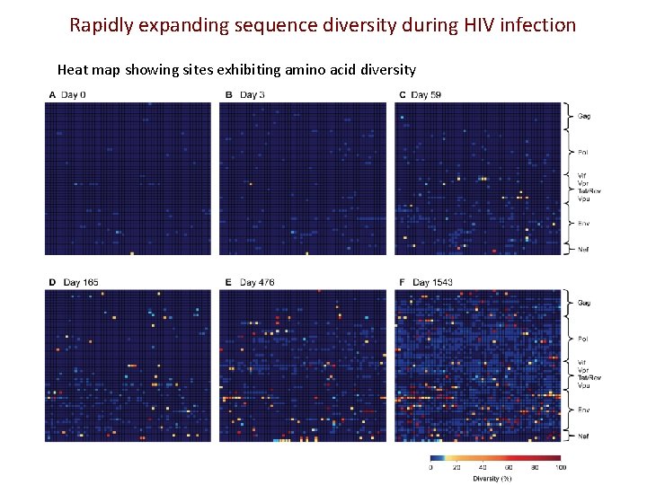 Rapidly expanding sequence diversity during HIV infection Heat map showing sites exhibiting amino acid Rapidly expanding sequence diversity during HIV infection Heat map showing sites exhibiting amino acid