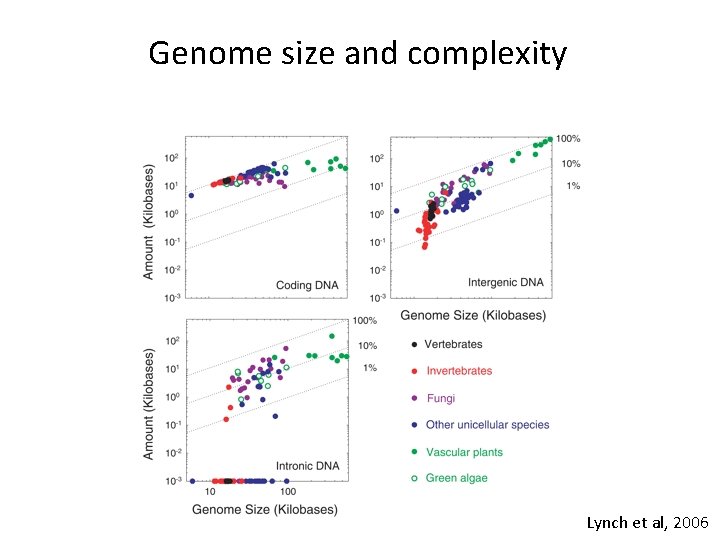 Genome size and complexity Lynch et al, 2006 Genome size and complexity Lynch et al, 2006