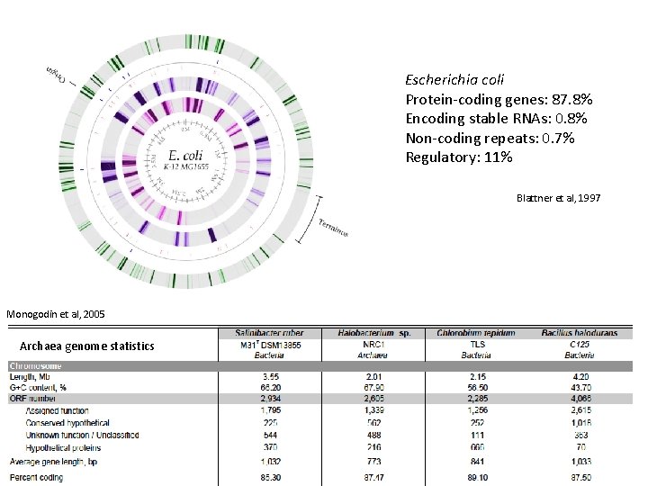 Escherichia coli Protein-coding genes: 87. 8% Encoding stable RNAs: 0. 8% Non-coding repeats: 0. Escherichia coli Protein-coding genes: 87. 8% Encoding stable RNAs: 0. 8% Non-coding repeats: 0.