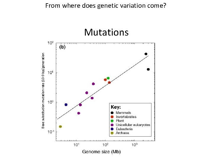 Base substitution mutation rate (10 -9 bp/generation From where does genetic variation come? Mutations Base substitution mutation rate (10 -9 bp/generation From where does genetic variation come? Mutations