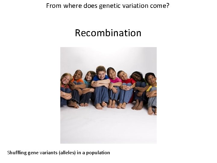 From where does genetic variation come? Recombination Shuffling gene variants (alleles) in a population From where does genetic variation come? Recombination Shuffling gene variants (alleles) in a population