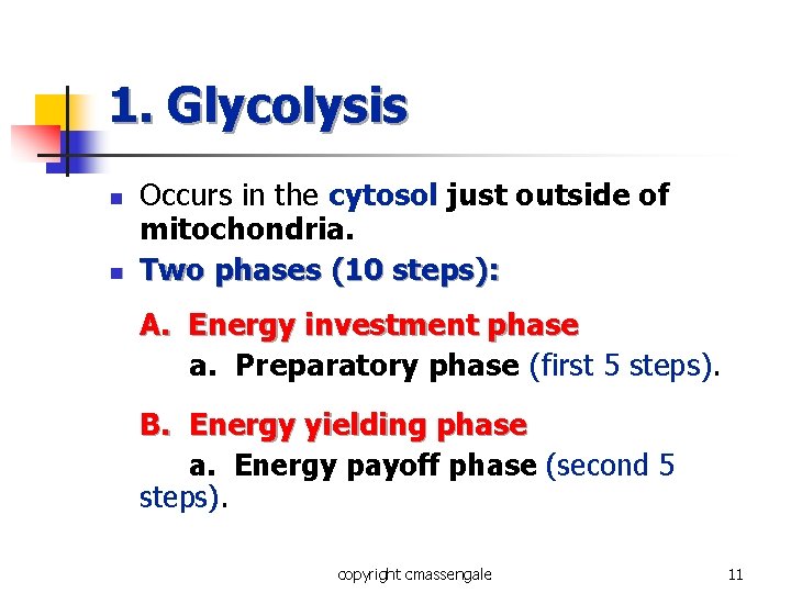 1. Glycolysis n n Occurs in the cytosol just outside of mitochondria. Two phases