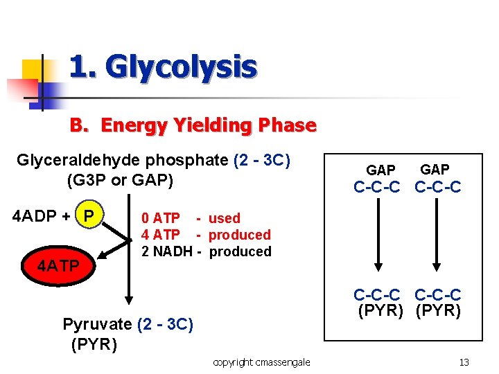 1. Glycolysis B. Energy Yielding Phase Glyceraldehyde phosphate (2 - 3 C) (G 3