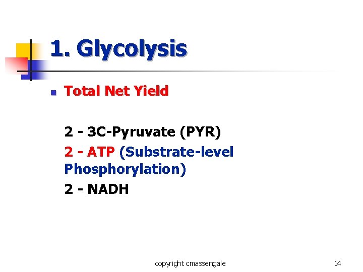 1. Glycolysis n Total Net Yield 2 - 3 C-Pyruvate (PYR) 2 - ATP