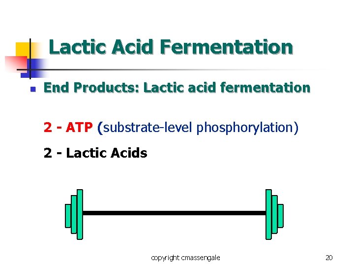 Lactic Acid Fermentation n End Products: Lactic acid fermentation 2 - ATP (substrate-level phosphorylation)