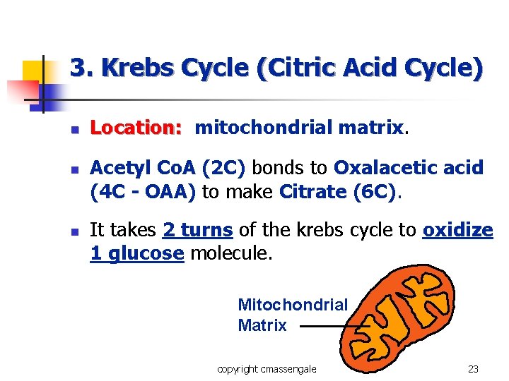 3. Krebs Cycle (Citric Acid Cycle) n n n Location: mitochondrial matrix. Acetyl Co. 3. Krebs Cycle (Citric Acid Cycle) n n n Location: mitochondrial matrix. Acetyl Co.