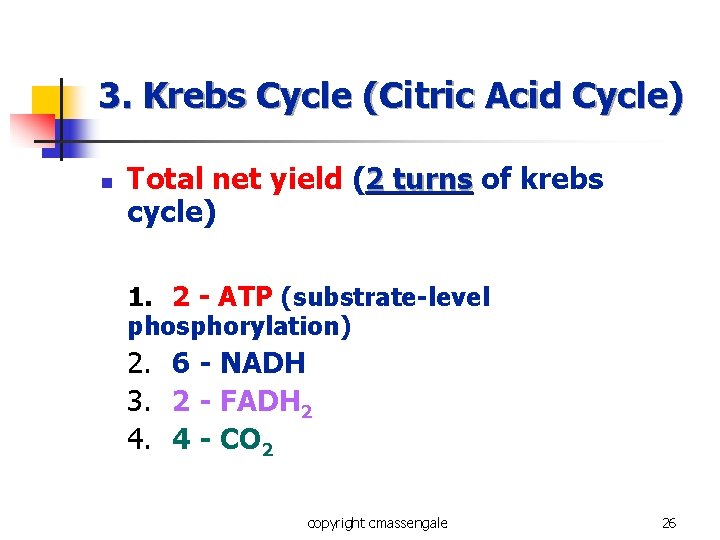 3. Krebs Cycle (Citric Acid Cycle) n Total net yield (2 turns of krebs