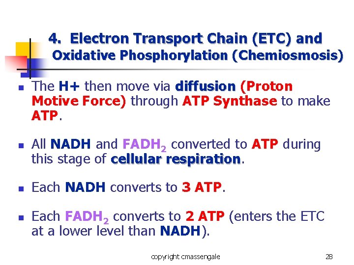 4. Electron Transport Chain (ETC) and Oxidative Phosphorylation (Chemiosmosis) n n The H+ then 4. Electron Transport Chain (ETC) and Oxidative Phosphorylation (Chemiosmosis) n n The H+ then