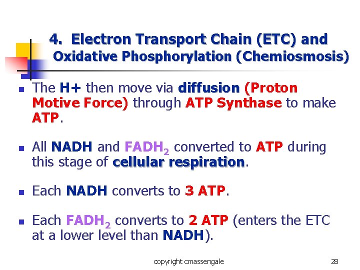 4. Electron Transport Chain (ETC) and Oxidative Phosphorylation (Chemiosmosis) n n The H+ then