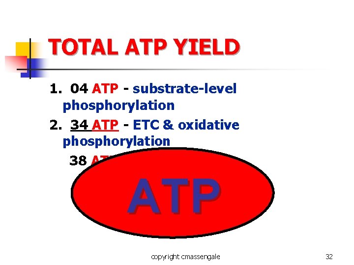 TOTAL ATP YIELD 1. 04 ATP - substrate-level phosphorylation 2. 34 ATP - ETC