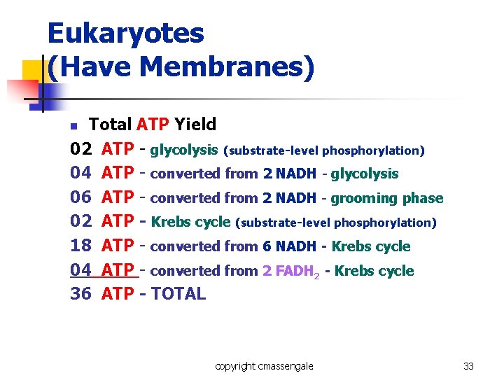 Eukaryotes (Have Membranes) Total ATP Yield 02 ATP - glycolysis (substrate-level phosphorylation) 04 ATP