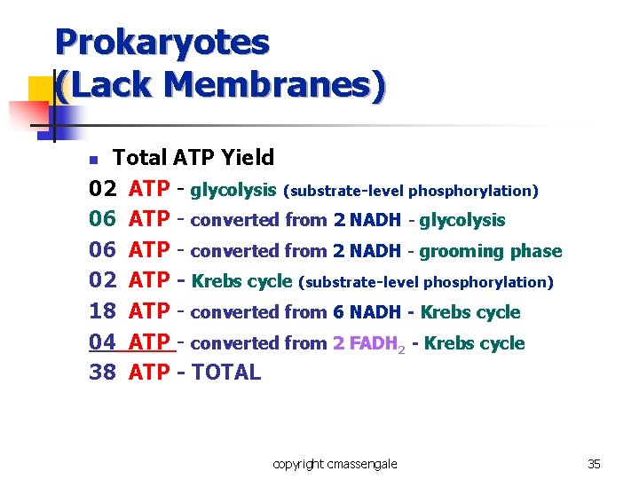 Prokaryotes (Lack Membranes) Total ATP Yield 02 ATP - glycolysis (substrate-level phosphorylation) 06 ATP