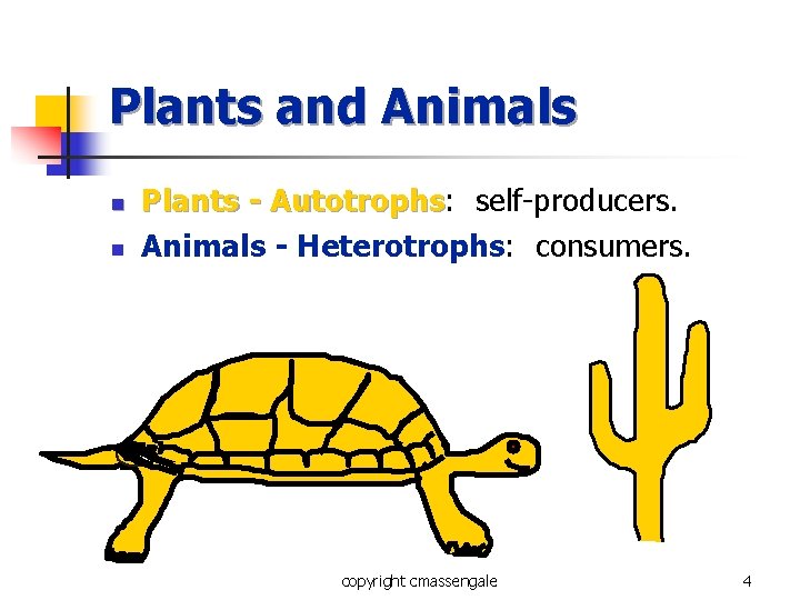 Plants and Animals n n Plants - Autotrophs: Autotrophs self-producers. Animals - Heterotrophs: consumers. Plants and Animals n n Plants - Autotrophs: Autotrophs self-producers. Animals - Heterotrophs: consumers.