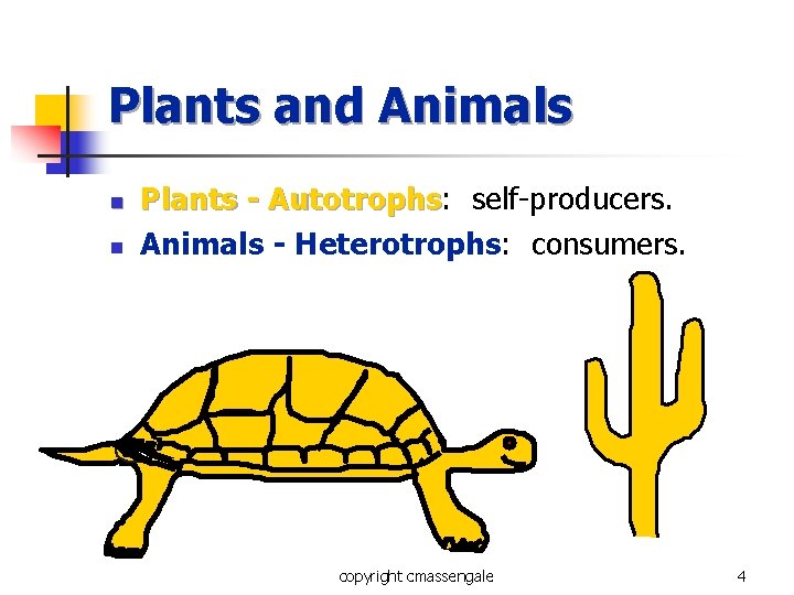 Plants and Animals n n Plants - Autotrophs: Autotrophs self-producers. Animals - Heterotrophs: consumers.