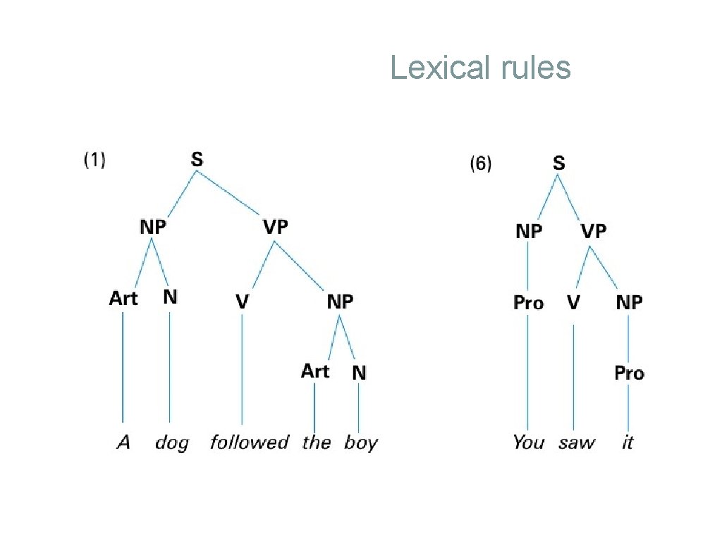 Lexical rules 