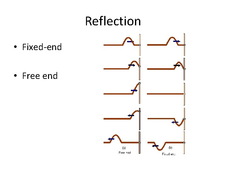 Reflection • Fixed-end • Free end 