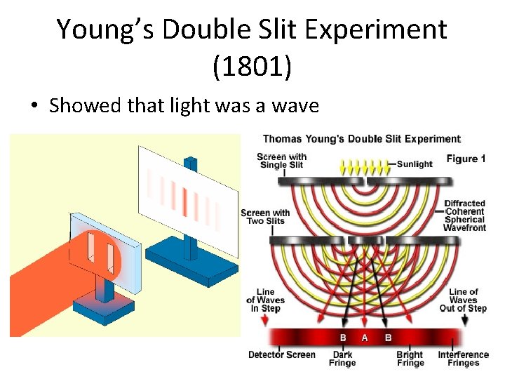 Young’s Double Slit Experiment (1801) • Showed that light was a wave 