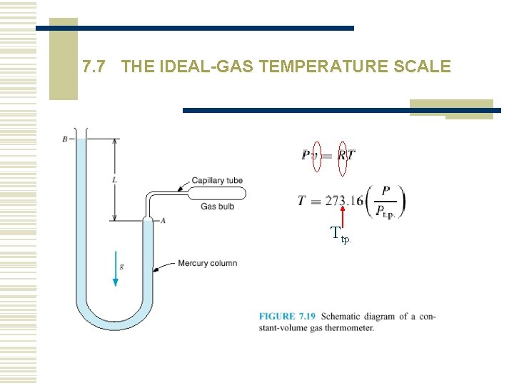 7. 7 THE IDEAL-GAS TEMPERATURE SCALE Ttp. 