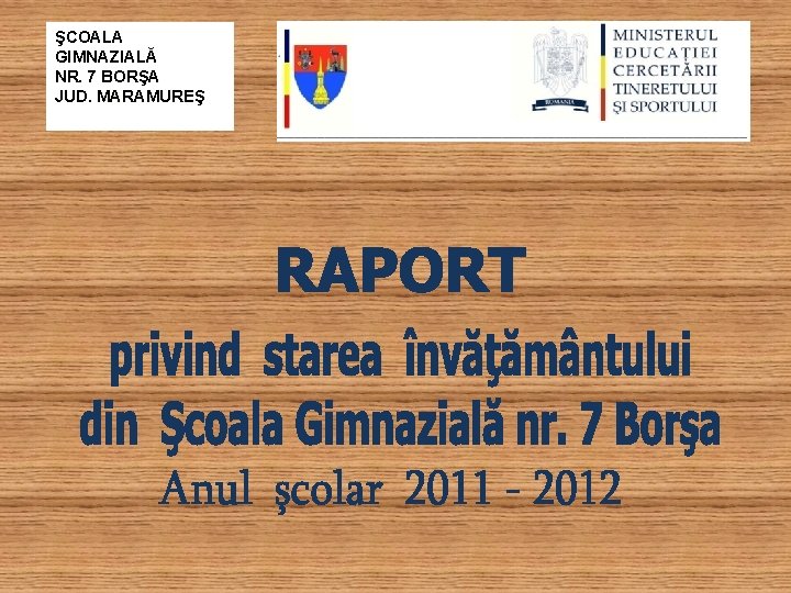 ŞCOALA GIMNAZIALĂ NR. 7 BORŞA JUD. MARAMUREŞ 