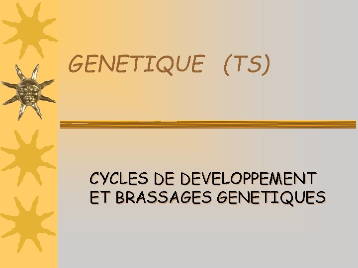 GENETIQUE (TS) CYCLES DE DEVELOPPEMENT ET BRASSAGES GENETIQUES 