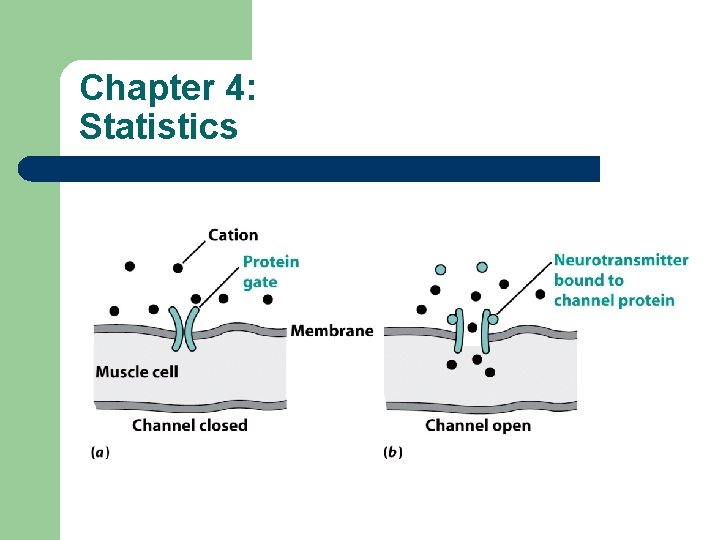 Chapter 4: Statistics 