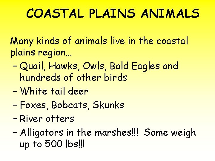 COASTAL PLAINS ANIMALS Many kinds of animals live in the coastal plains region… –