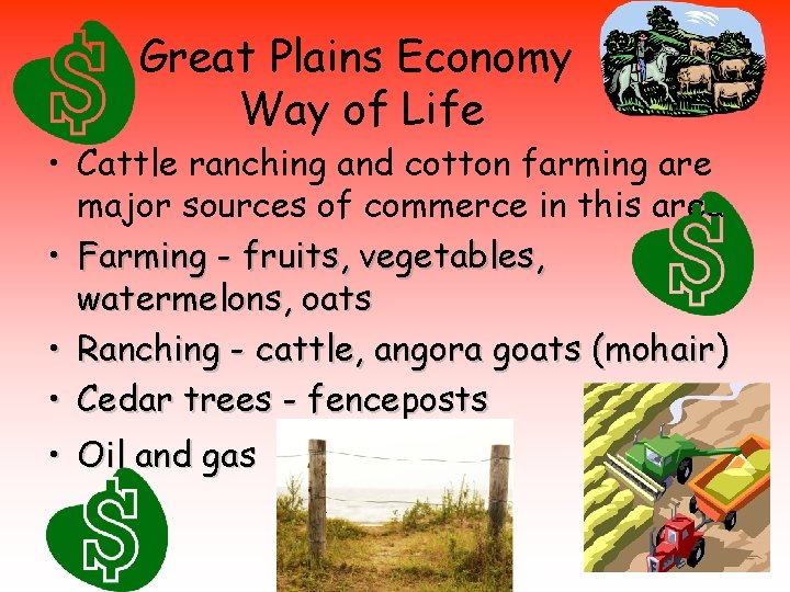 Great Plains Economy Way of Life • Cattle ranching and cotton farming are major