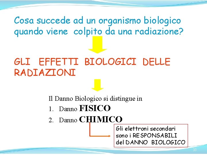 Cosa succede ad un organismo biologico quando viene colpito da una radiazione? GLI EFFETTI