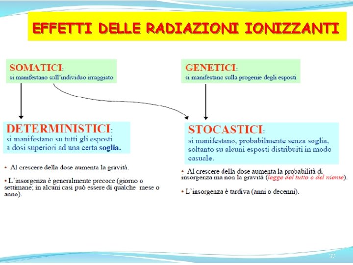 EFFETTI DELLE RADIAZIONIZZANTI 37 