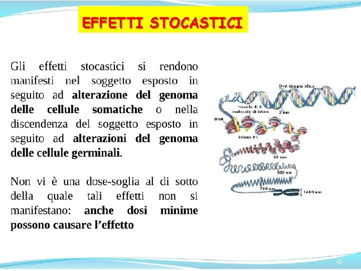 EFFETTI STOCASTICI 43 