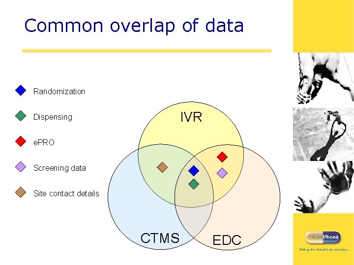 Common overlap of data Randomization IVR Dispensing e. PRO Screening data Site contact details